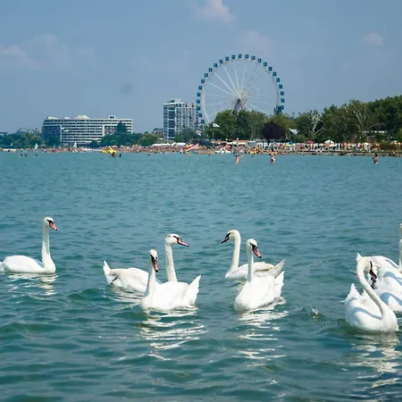 Appartamento In - Balaton 53708 *
