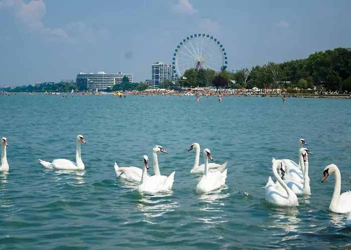 아파트 In - Balaton 53708 *